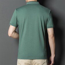2023夏季冰丝薄款短袖t恤男中年商务翻领休闲POLO衫时尚百搭男装，男装T恤，电商B212（原钱塘6029）