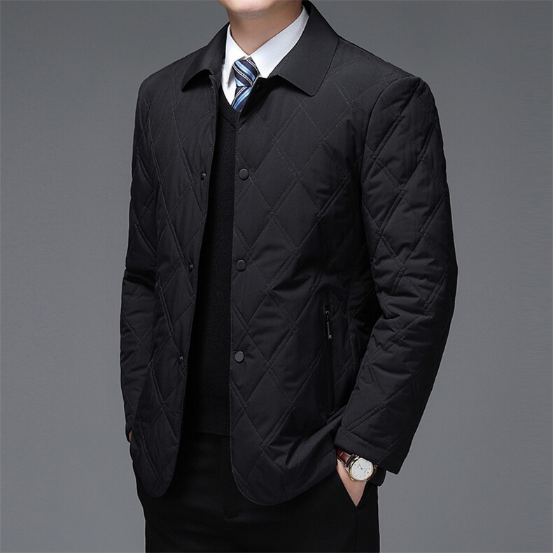 2023年新款羽绒棉服P175,男装羽绒服,电商D223-1