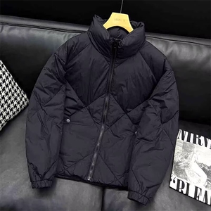 秋冬翻领短款棉衣菱格中青年棉服修身轻薄棉袄短外套TT601 P83图片