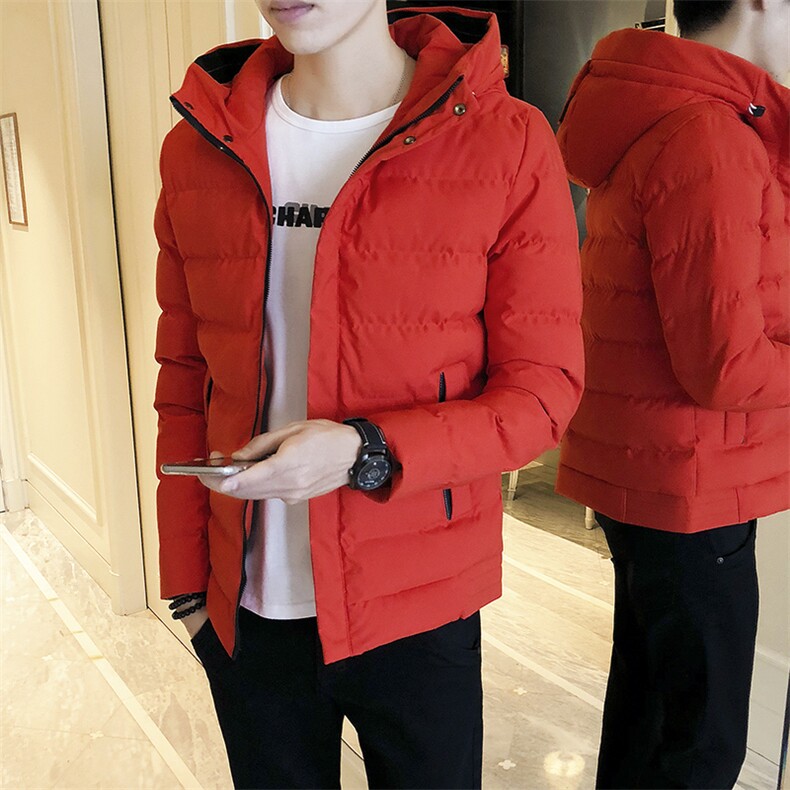 2020冬季新款棉服男士保暖棉衣外套加厚棉袄DS206T,男装棉衣,电商A102