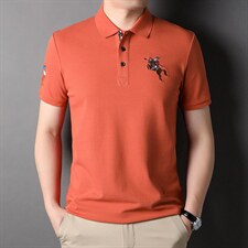 新款T恤男士纯色翻领纯棉商务休闲宽松运动服上衣潮流百搭体恤衫，男装T恤，电商B212（原钱塘6029）