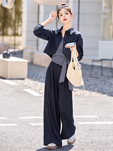 休闲时尚方格牛仔套装女2025年春秋新款高腰宽松显瘦阔腿裤三件套图片