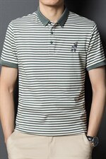 中青年男士短袖T恤薄款上衣夏季新款休闲百搭条纹polo体恤衫男装，男装T恤，电商B212（原钱塘6029）
