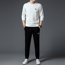 S3070-2钱塘2020-2秋季新款时尚休闲简约中青年男士卫衣套装P142，男装休闲套装，钱塘207-2