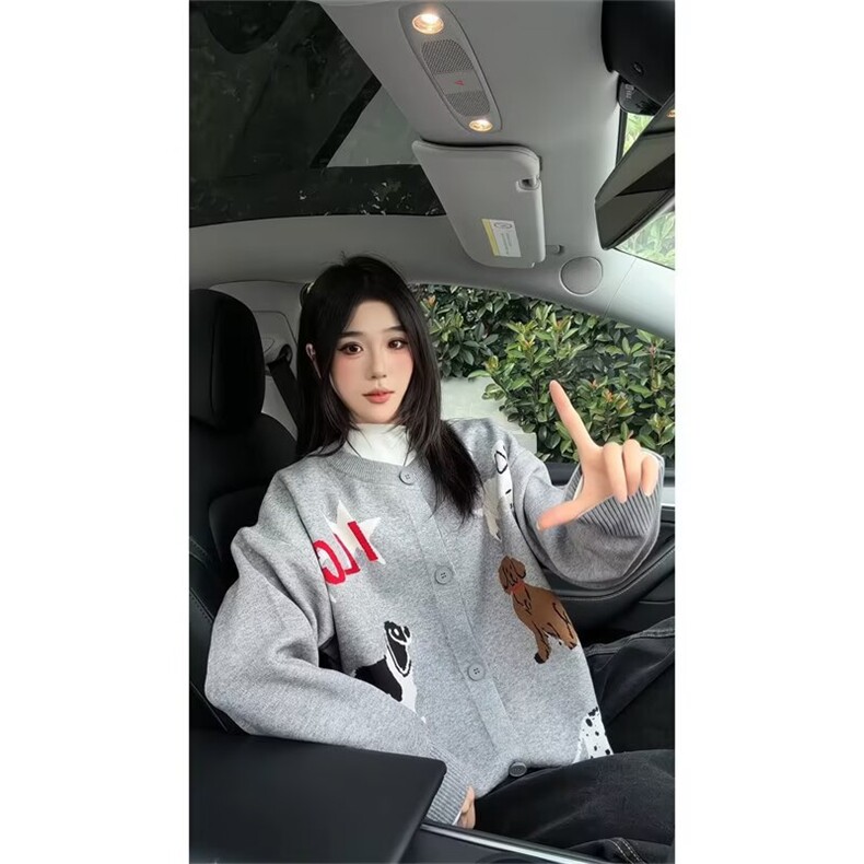 X054-P63 2025美式趣味小狗卡通灰色圆领针织衫开衫秋季宽松图片