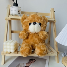 玫瑰熊*10