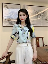 2022夏季新款现货短袖衬衫修身显瘦气质高雅时尚女装，女装衬衫，婉伦