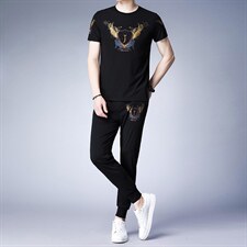 2023夏季男士t恤短袖中老年运动服套装中年爸爸夏季冰丝polo衫，男装休闲套装，电商B212（原钱塘6029）
