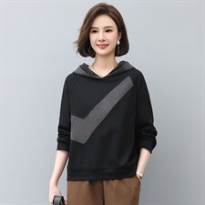 2024年春秋季新款刺绣卫衣女连帽衫韩版休闲百搭长袖上衣服女棉，女装卫衣/绒衫，忆绮罗