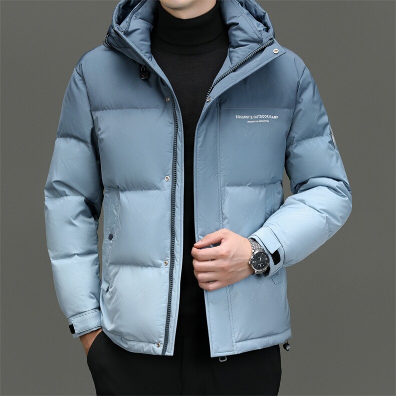 DF318331钱塘2020-2商务休闲立领百搭简约中年男士羽绒服P283图片