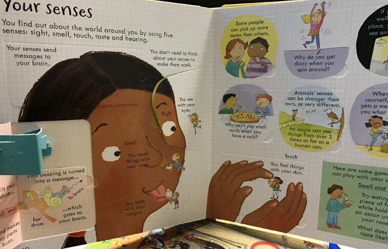 Usborne Look inside Your Body secretly reveal the secret series of the original English Usbourne book three-dimensional book early education book flip book science science knowledge English picture book story book my body#