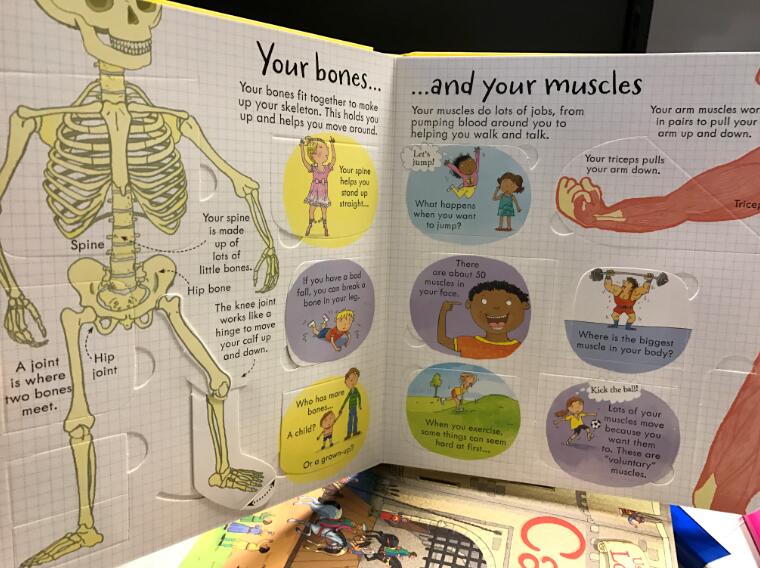 Usborne Look inside Your Body secretly reveal the secret series of the original English Usbourne book three-dimensional book early education book flip book science science knowledge English picture book story book my body#