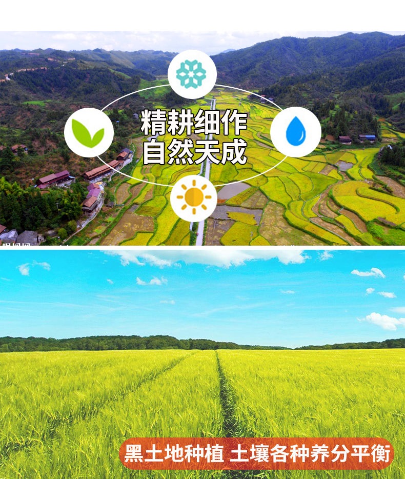 东北大米 都利稻花米长粒香米10斤 图2