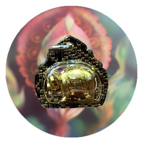 Domestic spot 2560 Luang Phor Thong Guan orchid pig golden model with shell and DDPRA certified kabe leaf workshop