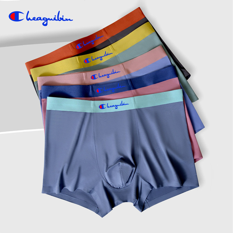 Champion Men's Boxer Briefs, Pure Cotton, Breathable, Seamless, Antibacterial, Modal, Mid-Waist, Rayon, Multi-Color Gift Set