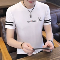 X20 Little Deer Point-White