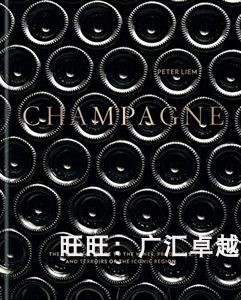 Champagne ebook lamp for the first of its kind