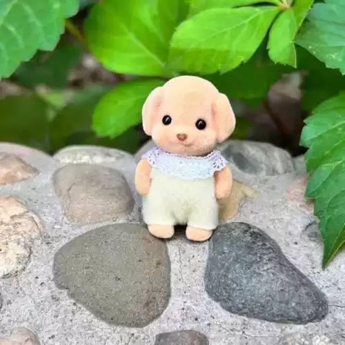 Семейный щенок Сенбиер, маленькая кукла, кукла, кукла, кукла Сенбиер, кукла пуделя, детская