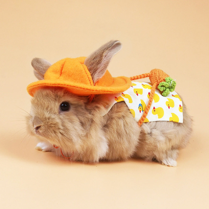 Spring Summer Pet Rabbit Clothes Dwarf rabbit out for traction rope suit Milk Dog Dairy Cat Clothing Cute Kindergarten Wind