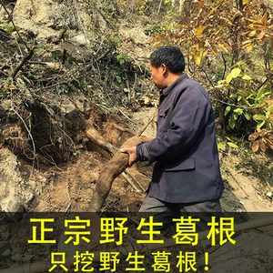 Геген порошок дикий натуральный вентилятор GE 500G Pure Natural Gegen Yunnan Chai Gegen Dai Peord Peord
