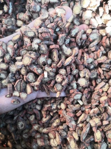 Китайский рынок лекарственных трав Anguo, оптовая продажа, Шаньдун Salvia miltiorrhiza, отобранные вручную ломтики дикого Salvia miltiorrhiza, выбранные без серы, 1000 г, бесплатная доставка