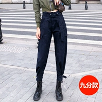 Синий ростомер, осенний, 162см