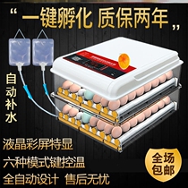 Machine Home Eggs Fully Automatic Double Seal God-Ware Hatchery Professional Fever Incubator Special for Hatching Chicks