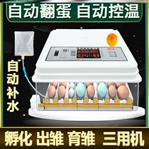 Hatcherys machine Home Goose Egg Smart Incubators Full Incubator Professional Hatchery Thermostatic Double Seal