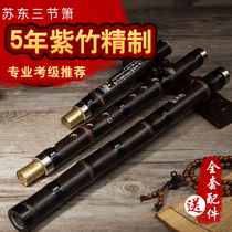 Sudong three-section refined high-end musical instruments beginner zero basic professional performance Zizhu long cave Xiao