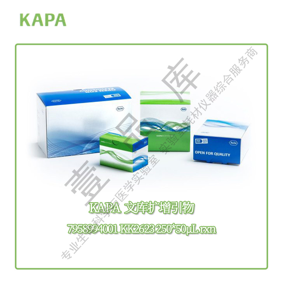 KAPA Library Amp Primer Mix Roche Library Extension Precision 50 Reaction