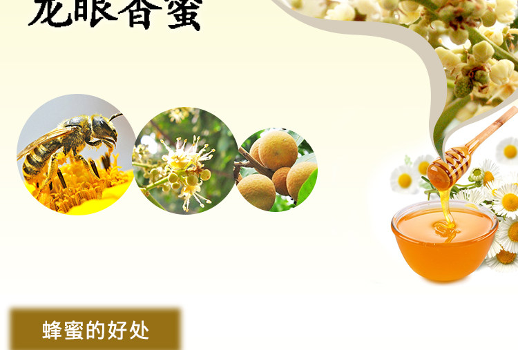 Longan Fragrant Honey_05.jpg