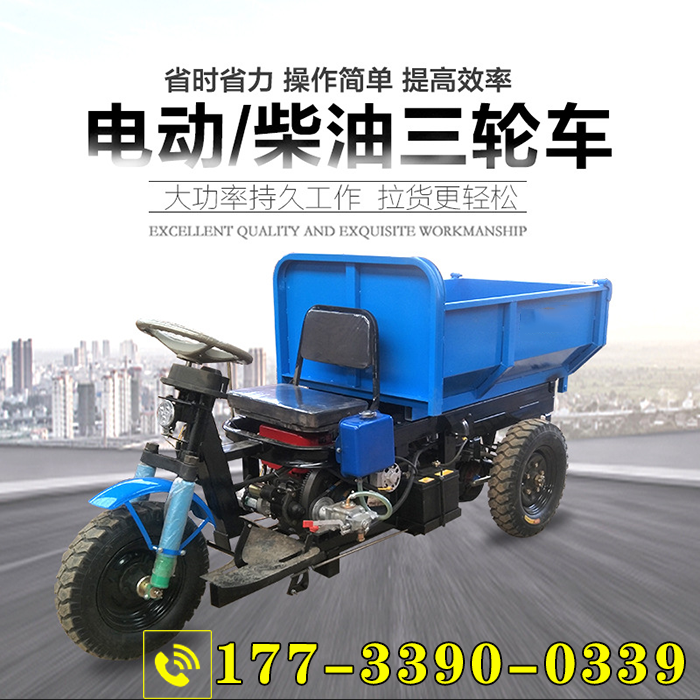 Agricultural Car Carrying Car Village Mine Sandy Sand Ash Construction Work Load King Electric Tricycle Battery Large Capacity