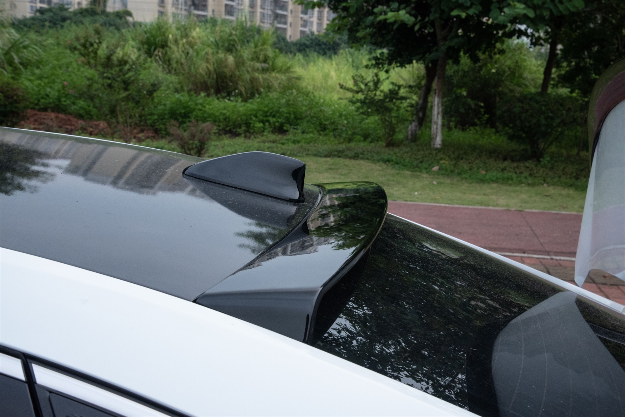 Mười thế hệ của Accord phía sau cánh thể thao hàng đầu sửa đổi cánh đai sơn đặc biệt không có lỗ sau khi áp lực cánh lướt gió - Sopida trên cánh gió xe ô tô