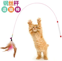 Смешные перья для кошек