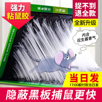 12 powerful sticky rat board mice stickler electric cat exorrat rat rat mice stained plate rat gum drug catch mice home