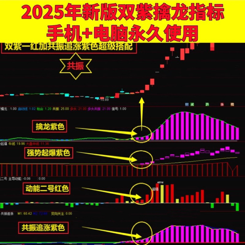 ageloc什么价格？2025双紫擒龙紫紫红黄庄家控盘分时主力吸筹动能二号起涨高抛低吸值得买吗？_化妆品_淘宝美妆网