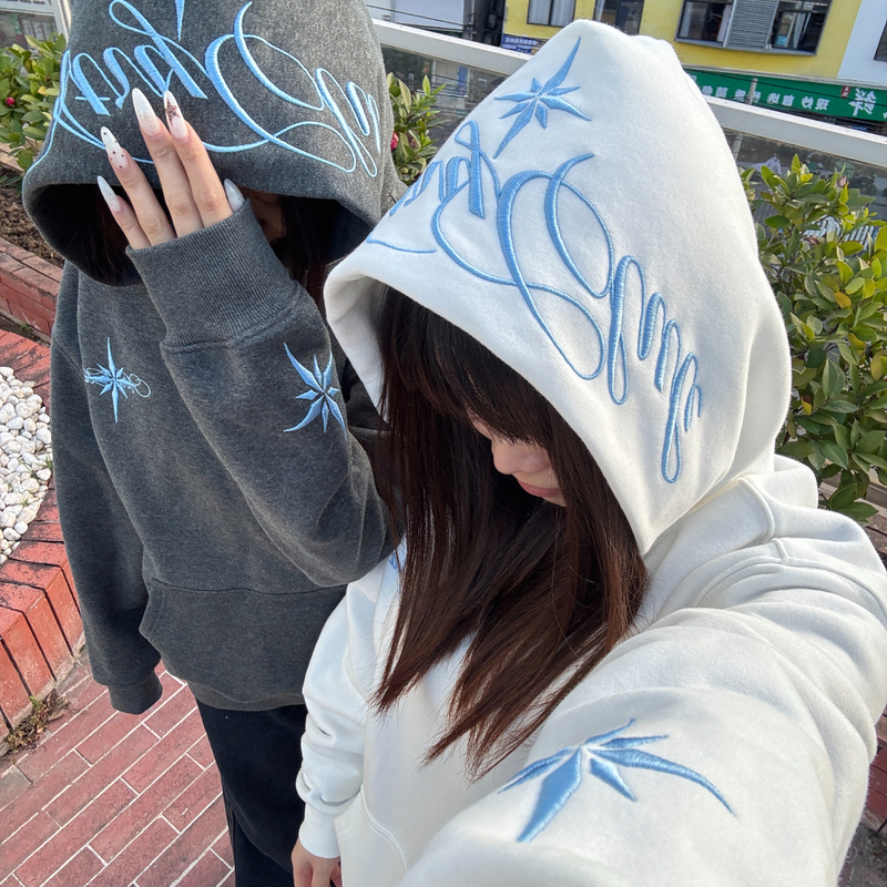 American-Style Trendy Brand Polaris Embroidered Hooded Sweatshirt for Women, New Autumn and Winter Fleece-Lined Thick Heavyweight Couple's Hoodie for Men