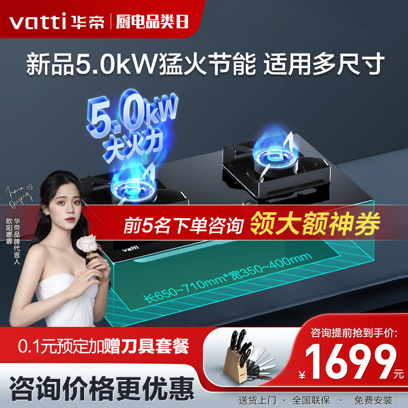 East China i10066B gas stove double mouth gas stove domestic embedded gas liquid gas cooker desktop