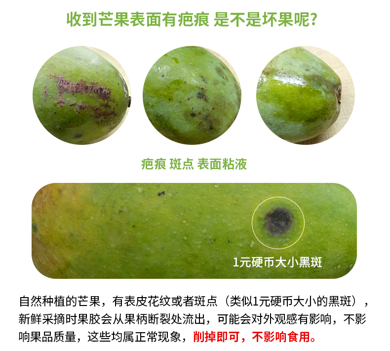 广西百色 金煌芒 净重5斤 单果200g+ 图9
