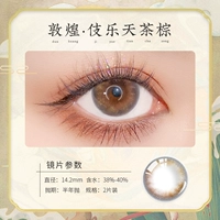 Dunhuang Hiptelita Tea Brown (сбор+корзины для покупок, чтобы купить одну пару доставки и одну пару)