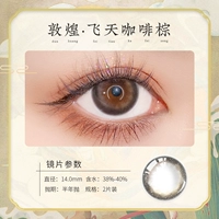 Dunhuang Feitian Coffee Brown (фавориты+автомобили для покупок купите одну пару доставки и одну пару)