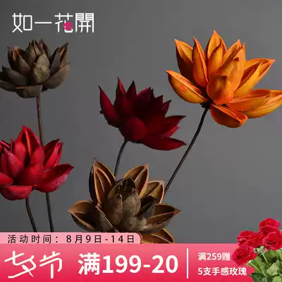 Dry Hualien flowers Zen for Buddha Natural real flowers Home decoration Shooting props Showerhead art combination Lotus