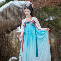 Chi Xia Rui Beast: Nanke original improvement Hanfu Tang system chest skirt skirt on the front 6 meters pendulum Peacock