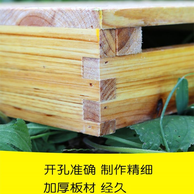 Solid wood beehive ten frame beehive beehive beehive Beehive Beehive double royal beehive Beehive Beehive Beehive Bee Hive