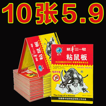 超强力粘鼠板捉粘大老鼠贴沾胶抓灭鼠捕鼠神器超强家用一窝端