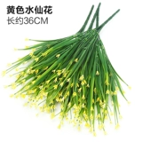 Зеленое растение Стенка Стены Растение настенные лужайки