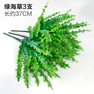 Зеленое растение Стенка Стены Растение настенные лужайки