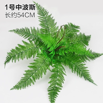 Зеленое растение Стенка Стены Растение настенные лужайки