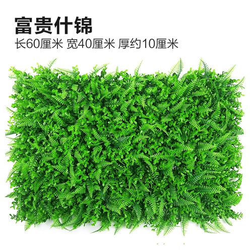 Зеленое растение Стенка Стены Растение настенные лужайки