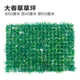 Зеленое растение Стенка Стены Растение настенные лужайки